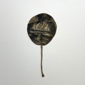 Female Voyager Female Voyager